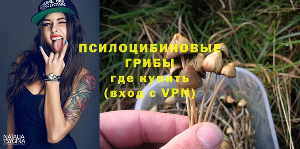 стафф Аркадак