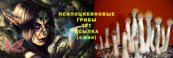 стафф Аркадак