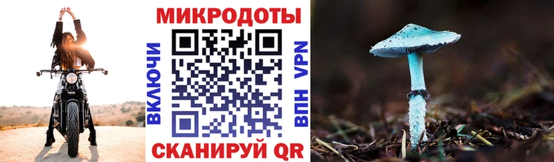 mega маркетплейс  цена   Медынь  Псилоцибиновые грибы прущие грибы 