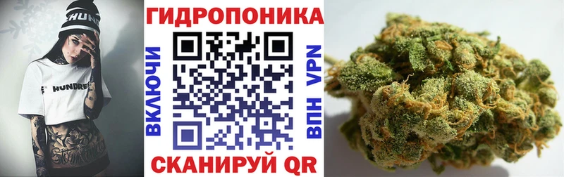 Шишки марихуана индика  цена наркотик  Медынь 